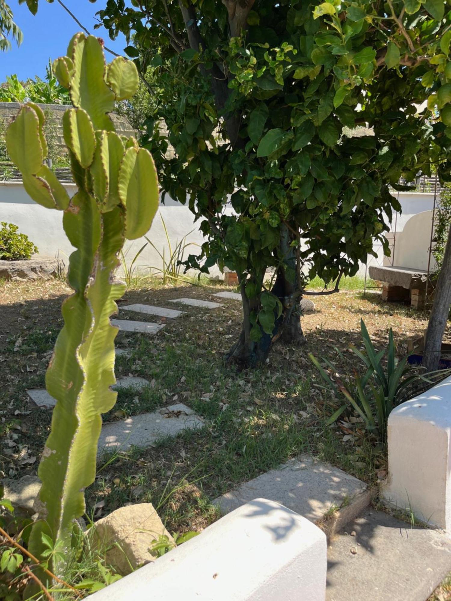 Villa Manni Procida Eksteriør bilde