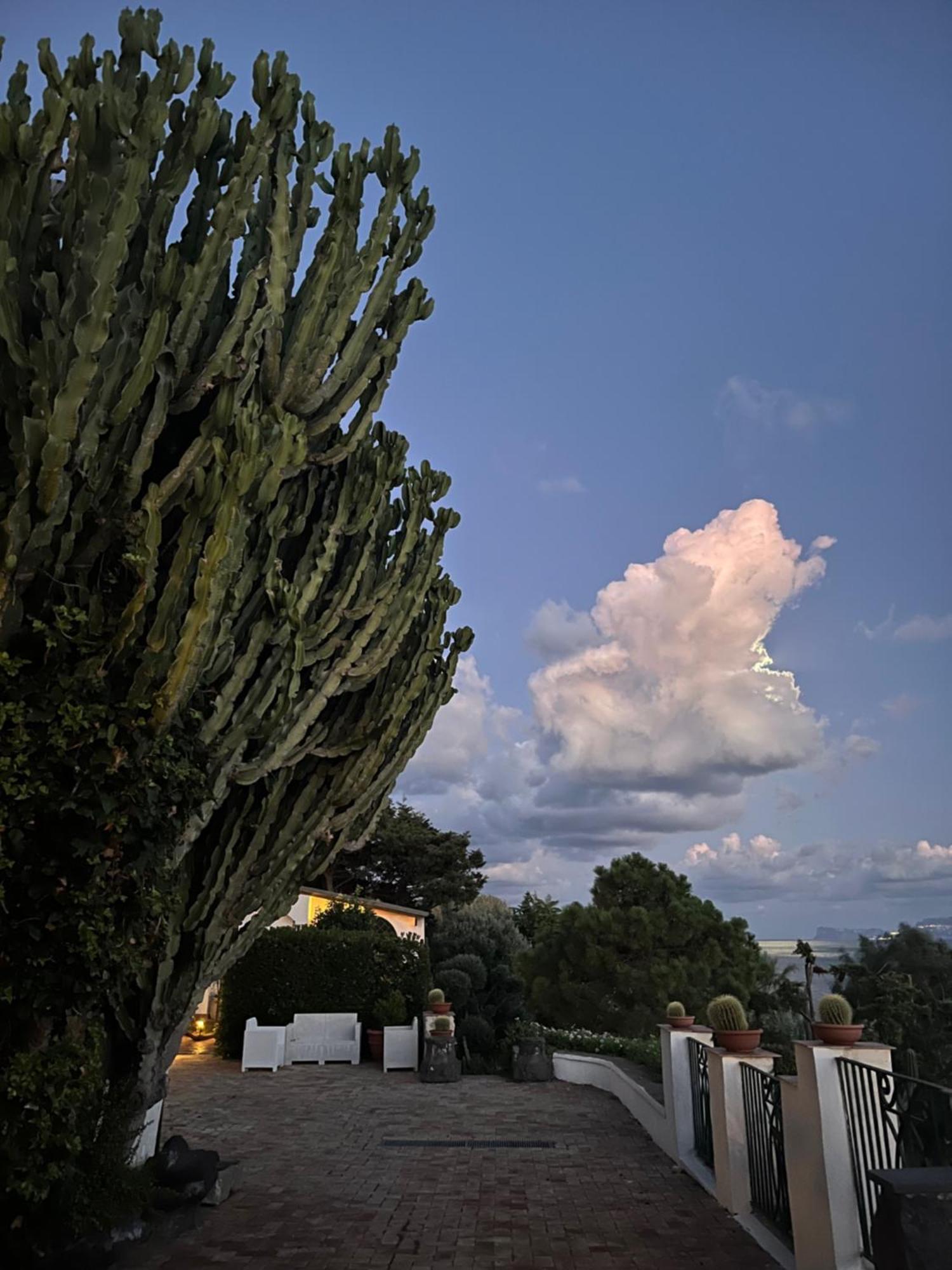 Villa Manni Procida Eksteriør bilde